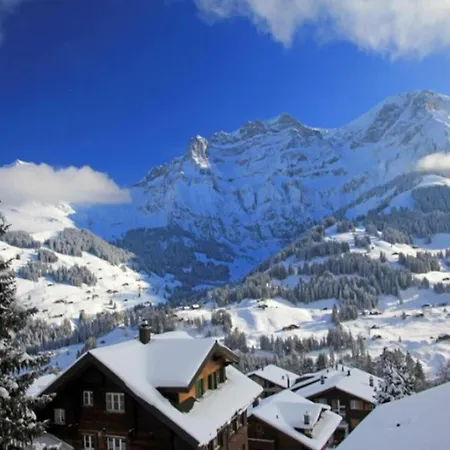 Roches Fleuries 2 Apartment Le Grand-Bornand